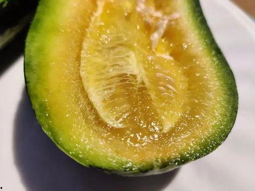 双视角吃瓜网,吃瓜网背后的故事与影响