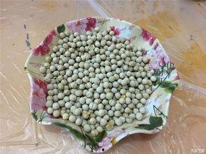 51瓜吃网,揭秘娱乐圈幕后故事，带你走进明星生活